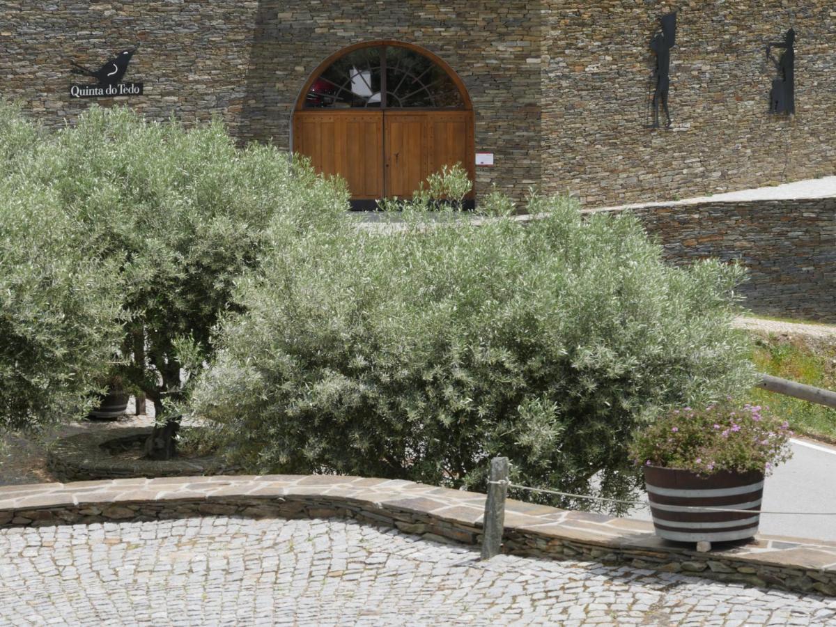 フォルゴザ Quinta Do Tedo Bed & Breakfast エクステリア 写真