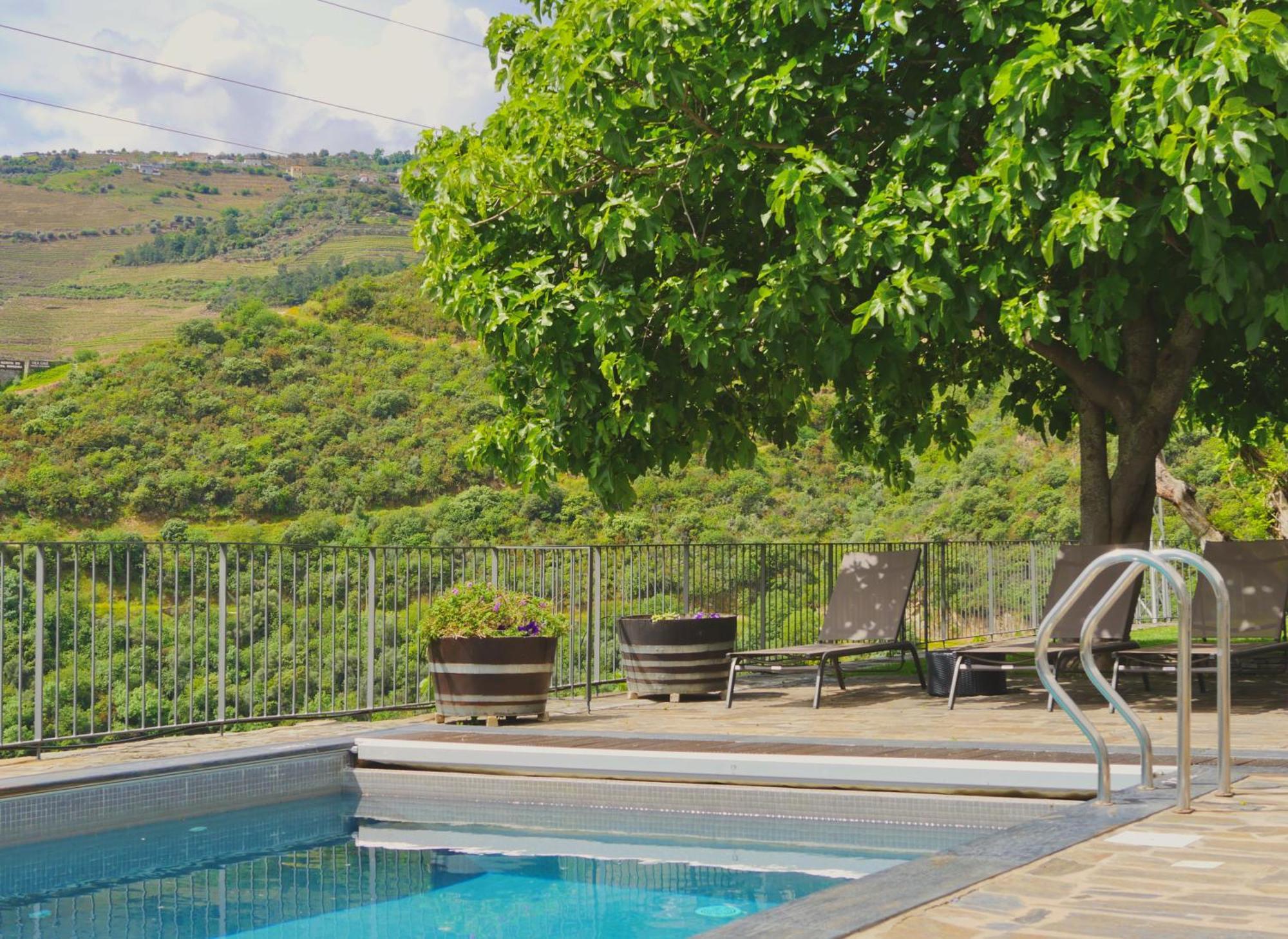 フォルゴザ Quinta Do Tedo Bed & Breakfast エクステリア 写真