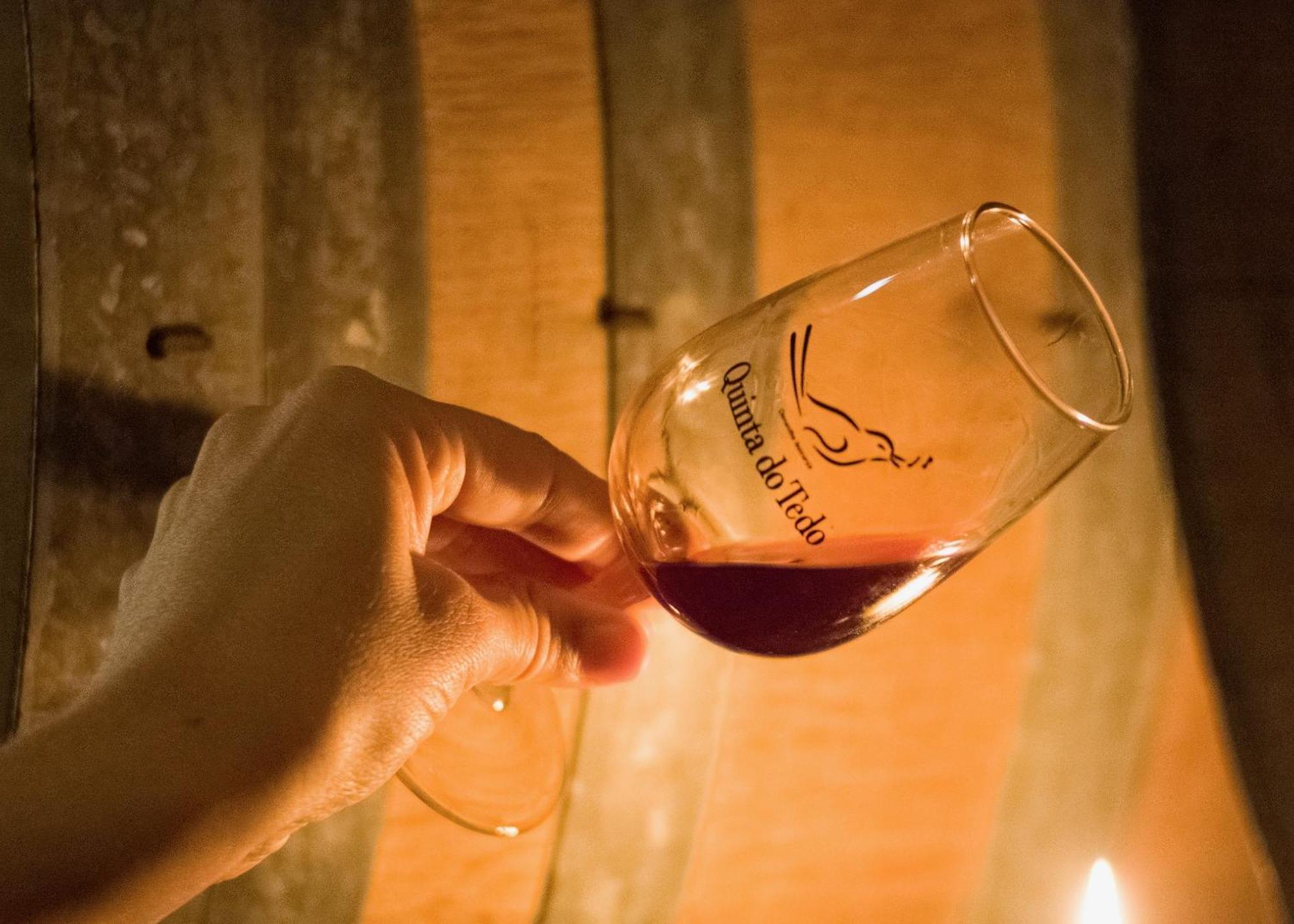 フォルゴザ Quinta Do Tedo Bed & Breakfast エクステリア 写真