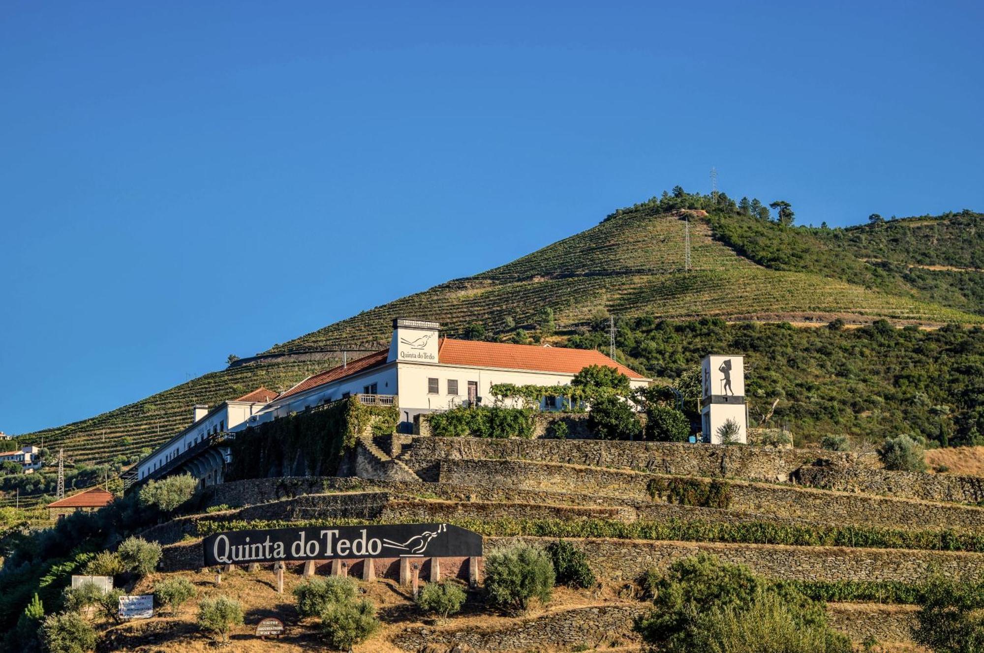 フォルゴザ Quinta Do Tedo Bed & Breakfast エクステリア 写真